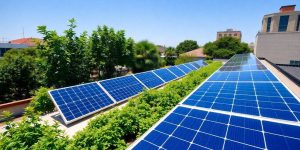 Solar panels on a sunny rooftop with greenery backdrop.